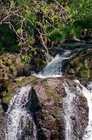 Cascade
