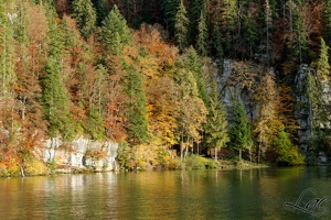 Promenade sur le fleuve