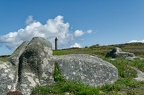 Paysages