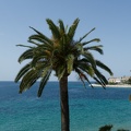20220509 184 Corse LaC site