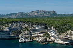 Bonifacio
