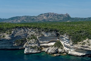 Bonifacio