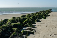 Sur la plage