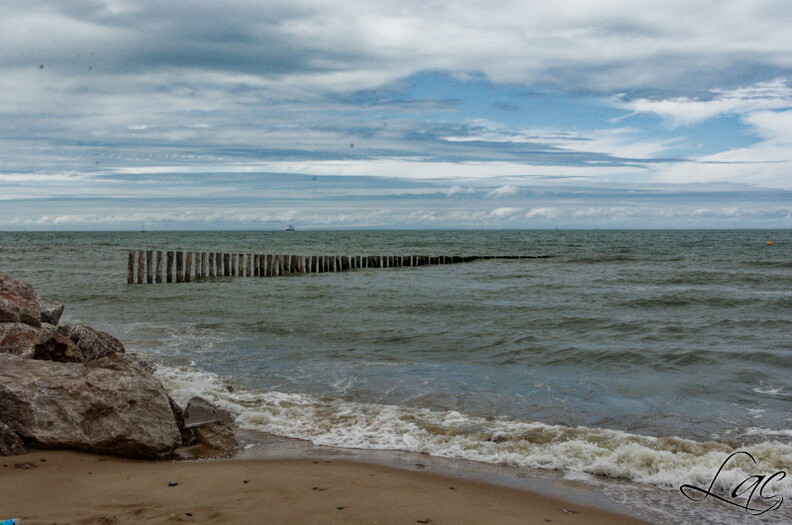 20180730_9386.jpg