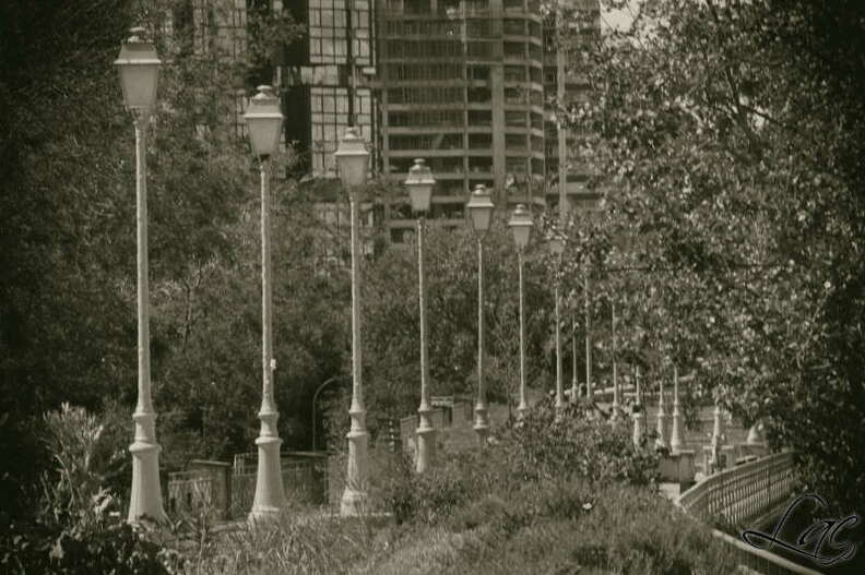 20250511_Paris_Lac_095_Nik.jpg
